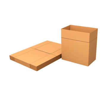 Carton erecting